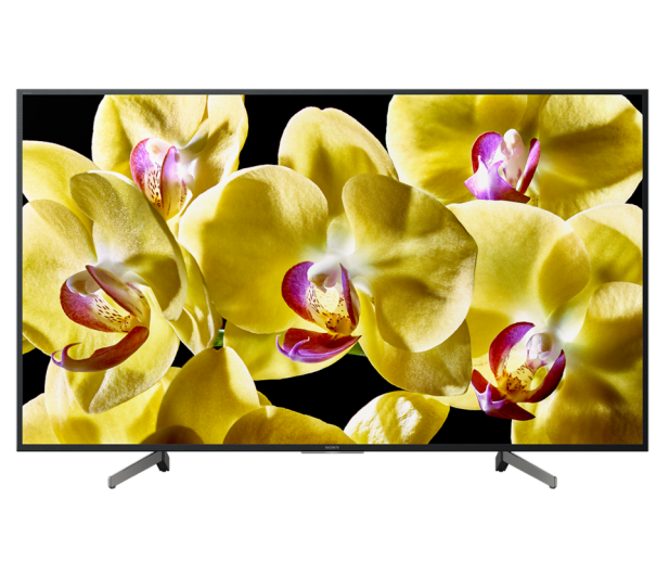 Sony KD-49XG8096 - 507598 - zdjęcie